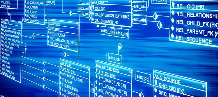 Veritabanı Dünyasına Yolculuk: Çeşitlilik İçinde Birlik veritabanı işlevleri